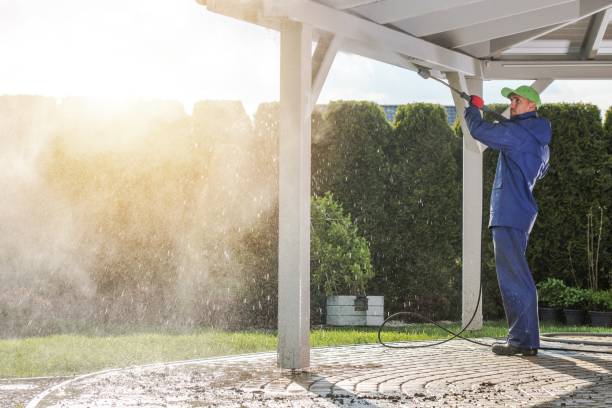 Pre-Holiday Cleaning in St Pauls, NC